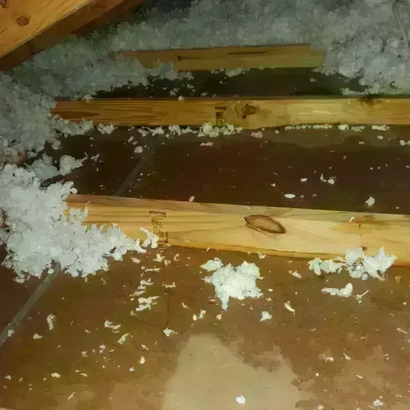 Attic Water Damage in Lawrenceville, IL