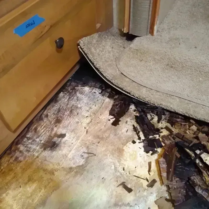 Wood Floor Water Damage in Lawrenceville, IL